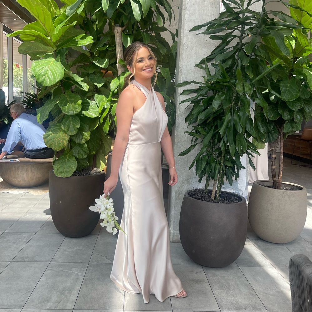 Watters Bianca 1401 Dress in Prosecco